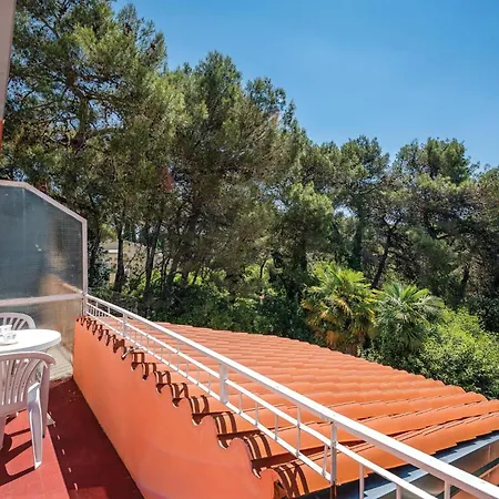 Apartment Amazing In With Wifi *